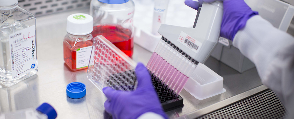 How is the biomarker testing done