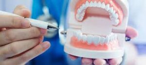 BS Dental Technology