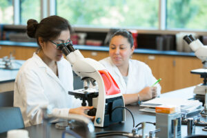 BS Biotechnology
