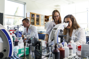 BS Biotechnology