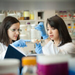 BS Dietetics and Nutrition Sciences