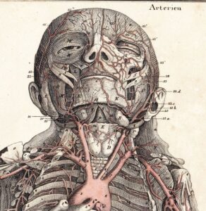 MPhil Morbid Anatomy and Histopathology