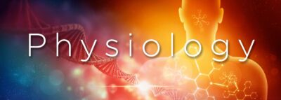 PhD Physiology