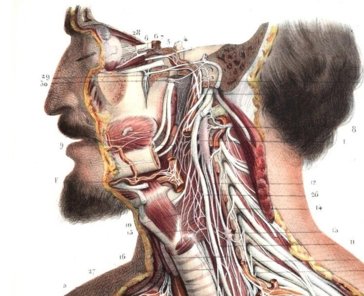 MPhil Morbid Anatomy and Histopathology