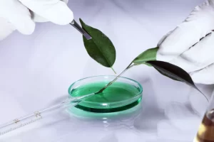 PhD Biotechnology