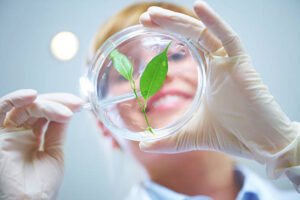 PhD Biotechnology