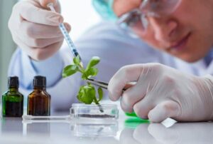 PhD Biotechnology